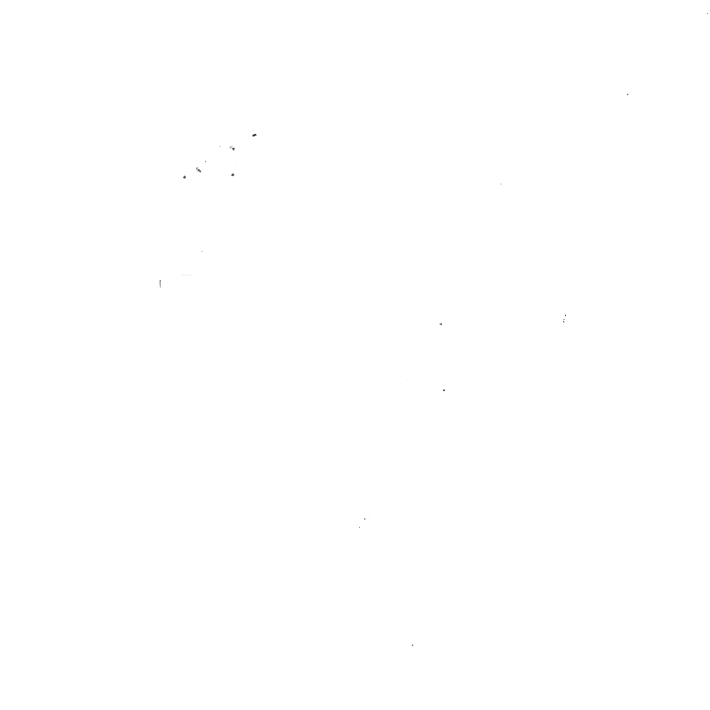 collection.roshnaganesh.com
